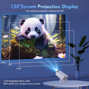 Quantum Pro Projector